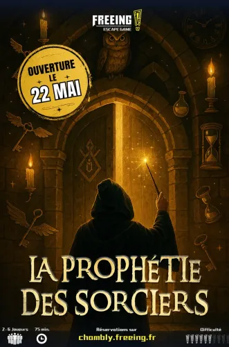 LA PROPHÉTIE DES SORCIERS